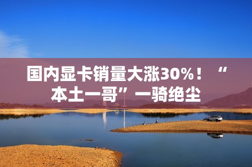 国内显卡销量大涨30%！“本土一哥”一骑绝尘