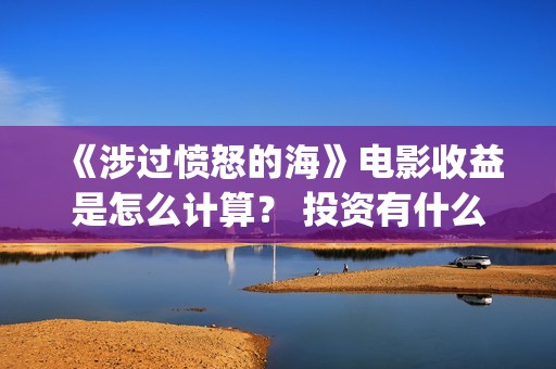 《涉过愤怒的海》电影收益是怎么计算？ 投资有什么流程？ (涉过愤怒的海讲的是什么意思)
