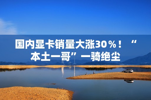 国内显卡销量大涨30％！“本土一哥”一骑绝尘
