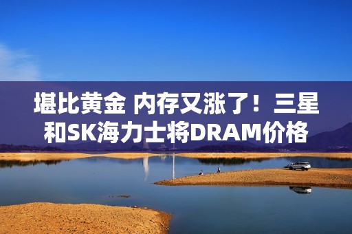 堪比黄金 内存又涨了！三星和SK海力士将DRAM价格上调30%