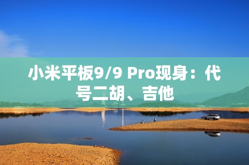 小米平板9/9 Pro现身：代号二胡、吉他