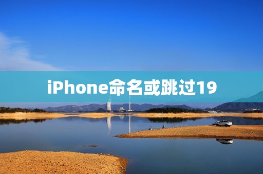 iPhone命名或跳过19