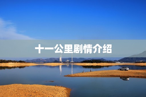 十一公里剧情介绍