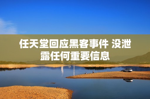 任天堂回应黑客事件 没泄露任何重要信息