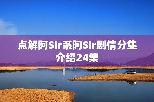点解阿Sir系阿Sir剧情分集介绍24集