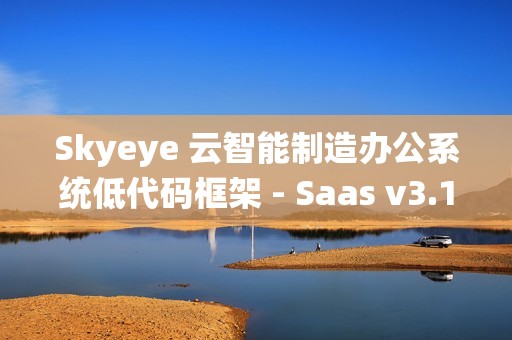Skyeye 云智能制造办公系统低代码框架 - Saas v3.17.8 发布