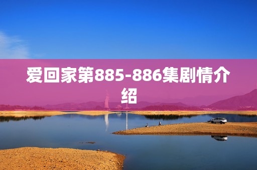 爱回家第885-886集剧情介绍
