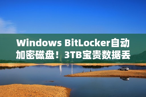 Windows BitLocker自动加密磁盘！3TB宝贵数据丢失：永远无法再找回