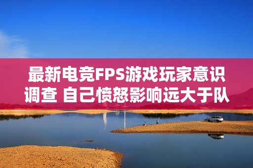 最新电竞FPS游戏玩家意识调查 自己愤怒影响远大于队友愤怒