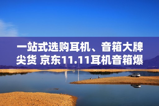 一站式选购耳机、音箱大牌尖货 京东11.11耳机音箱爆品清单出炉