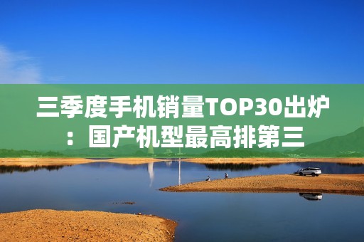 三季度手机销量TOP30出炉：国产机型最高排第三