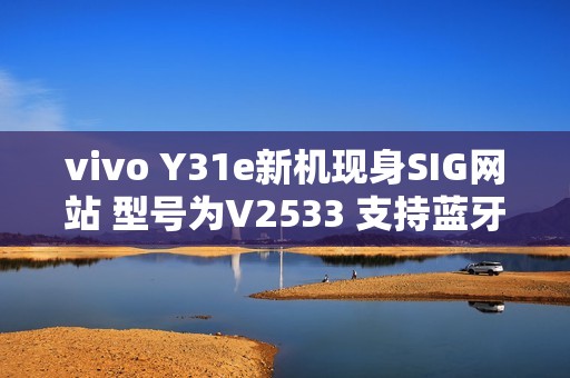 vivo Y31e新机现身SIG网站 型号为V2533 支持蓝牙4.2？