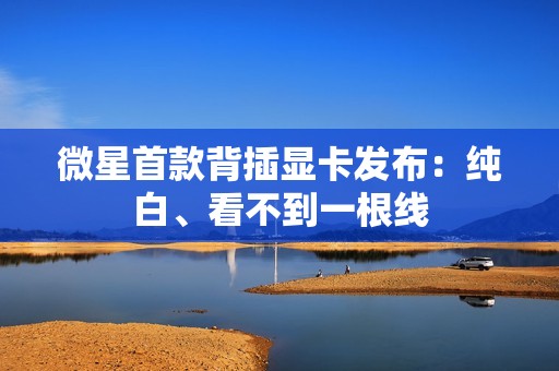 微星首款背插显卡发布：纯白、看不到一根线