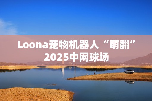 Loona宠物机器人“萌翻”2025中网球场