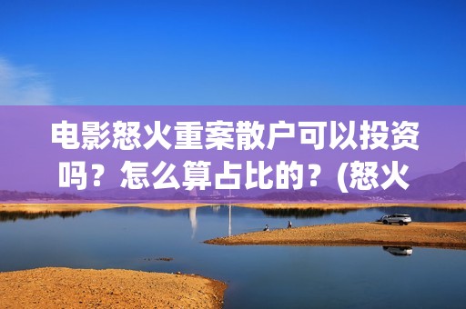 电影怒火重案散户可以投资吗？怎么算占比的？(怒火重案原版)