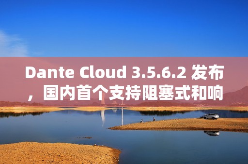 Dante Cloud 3.5.6.2 发布，国内首个支持阻塞式和响应式融合的微服务