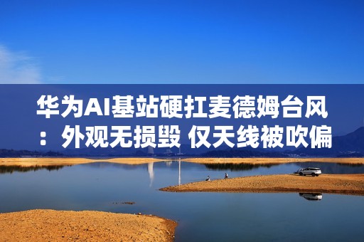 华为AI基站硬扛麦德姆台风：外观无损毁 仅天线被吹偏 20分钟远程恢复