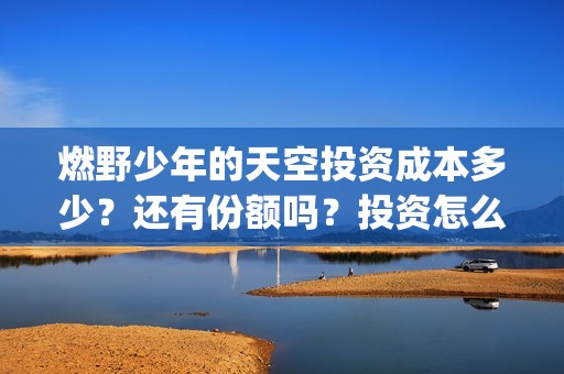 燃野少年的天空投资成本多少？还有份额吗？投资怎么参与？(燃野少年的天空和风犬少年的天空)