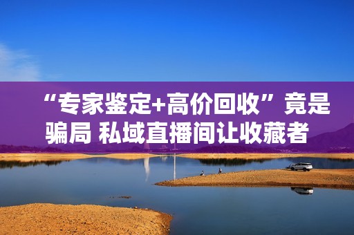 “专家鉴定+高价回收”竟是骗局 私域直播间让收藏者血本无归