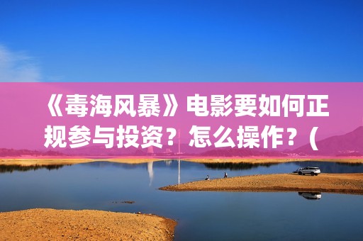 《毒海风暴》电影要如何正规参与投资？怎么操作？(毒海风暴有哪几个公司参与)