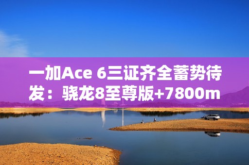 一加Ace 6三证齐全蓄势待发：骁龙8至尊版+7800mAh史上最大电池