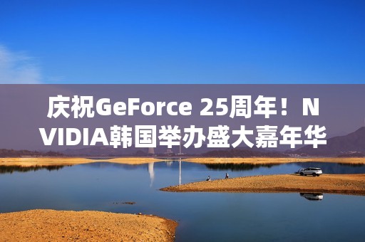 庆祝GeForce 25周年！NVIDIA韩国举办盛大嘉年华 女团压轴演出