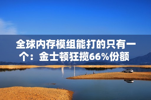 全球内存模组能打的只有一个：金士顿狂揽66%份额 其他吊车尾