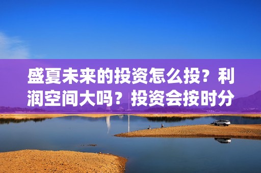 盛夏未来的投资怎么投？利润空间大吗？投资会按时分红吗？(盛夏未来投资成本多少)
