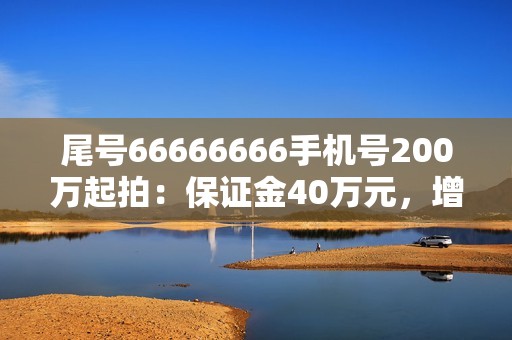 尾号66666666手机号200万起拍：保证金40万元，增价幅度1万元