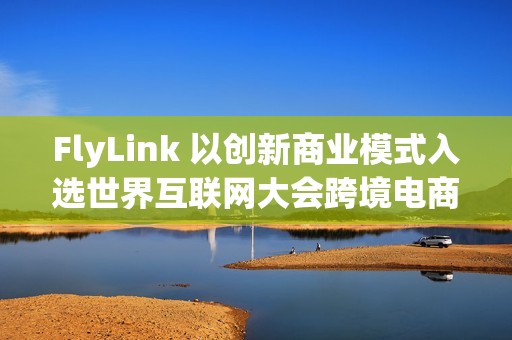 FlyLink 以创新商业模式入选世界互联网大会跨境电商实践案例集