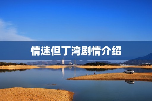 情迷但丁湾剧情介绍