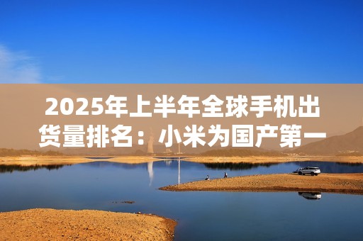 2025年上半年全球手机出货量排名：小米为国产第一