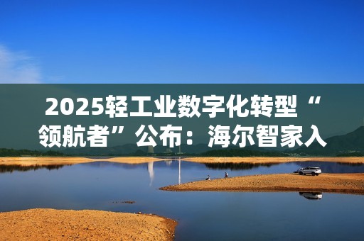 2025轻工业数字化转型“领航者”公布：海尔智家入选案例行业最多