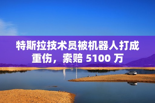 特斯拉技术员被机器人打成重伤，索赔 5100 万