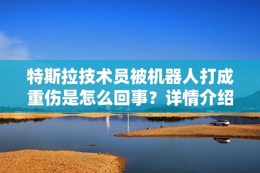 特斯拉技术员被机器人打成重伤是怎么回事？详情介绍