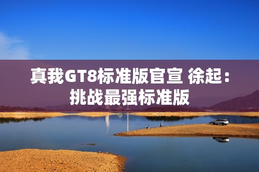 真我GT8标准版官宣 徐起：挑战最强标准版