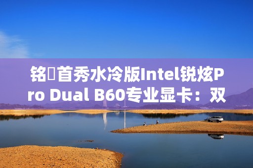 铭瑄首秀水冷版Intel锐炫Pro Dual B60专业显卡：双GPU 48GB显存 居然单插槽
