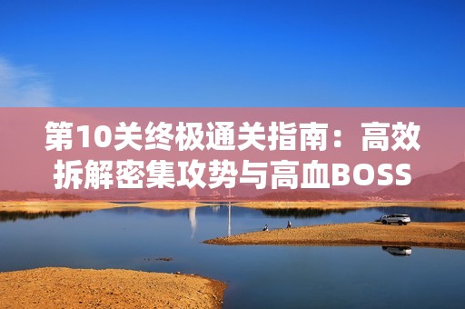 第10关终极通关指南：高效拆解密集攻势与高血BOSS