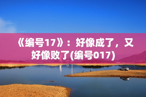 《编号17》：好像成了，又好像败了(编号017)