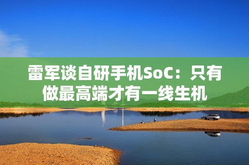 雷军谈自研手机SoC：只有做最高端才有一线生机