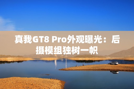 真我GT8 Pro外观曝光：后摄模组独树一帜