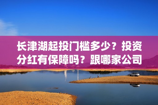 长津湖起投门槛多少？投资分红有保障吗？跟哪家公司参与投资？(长津湖投资额度)