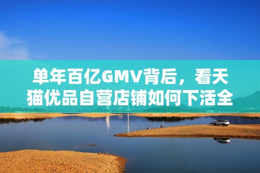 单年百亿GMV背后，看天猫优品自营店铺如何下活全域零售一盘棋？