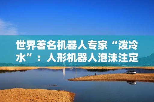 世界著名机器人专家“泼冷水”：人形机器人泡沫注定会破裂