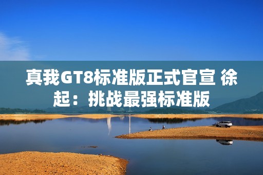 真我GT8标准版正式官宣 徐起：挑战最强标准版