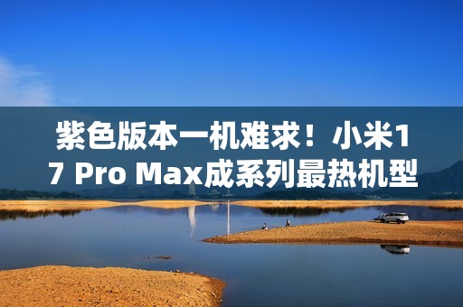 紫色版本一机难求！小米17 Pro Max成系列最热机型
