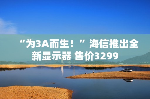 “为3A而生！”海信推出全新显示器 售价3299