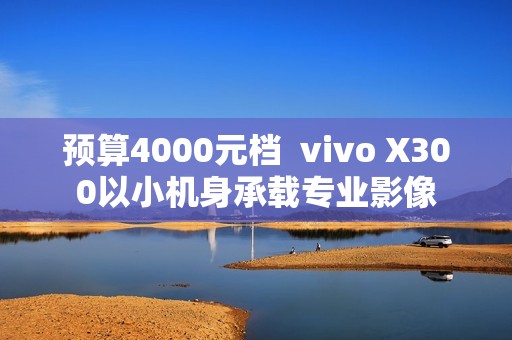 预算4000元档  vivo X300以小机身承载专业影像