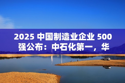 2025 中国制造业企业 500 强公布：中石化第一，华为、比亚迪前十