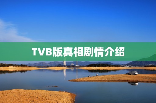 TVB版真相剧情介绍